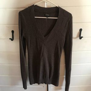Express Brown V-Neck Sweater
